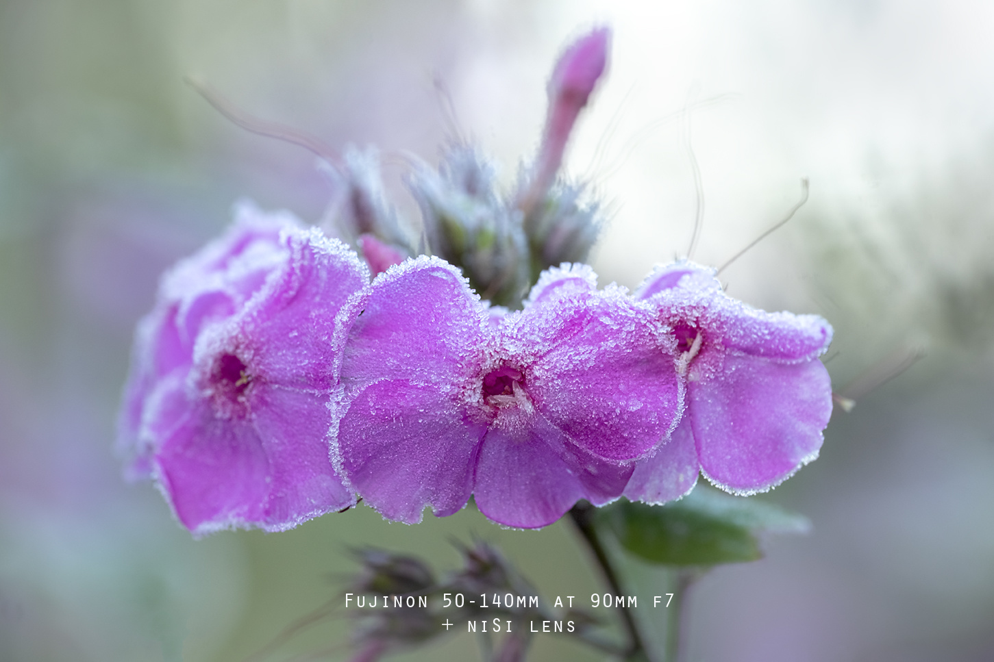 Discover NiSi Close Up Lens Kit NiSi Optics USA