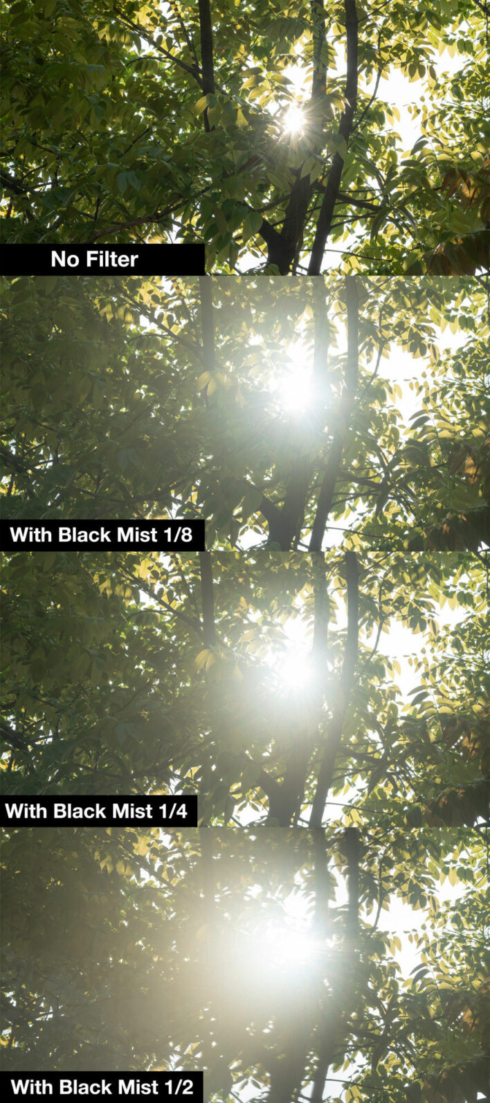 NiSi 67mm Circular Black Mist 1/4 Circular Black Mist | NiSi Optics USA | 5