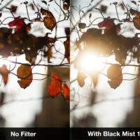 Black Mist Compare