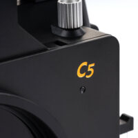 C5 Back
